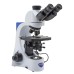 Microscope Trinocular (Split ratio: 50/50)  30° inclined; 360° rotating. Eyepieces: WF10X/20, B-383DK Darkfield , Optika Italy
